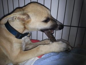 13900758_10208678170286548_1933321418_n