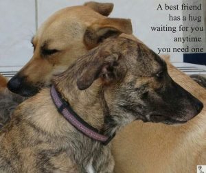 43320d9d5259ba41e342d9da35b9d8fa