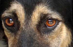 Soraya sterilisatie 08