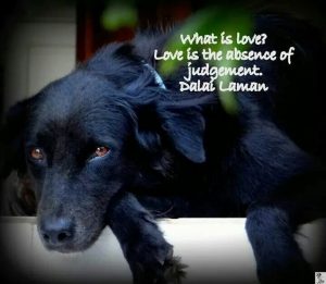 0552cc284dd8f81a01db003a97a34e47