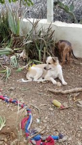 13652615_10208508188037098_1963593308_n