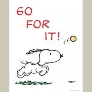 14009906_10208786222667790_159986433_n