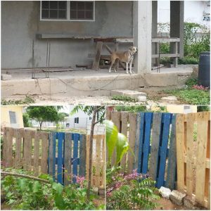 14011982_10208786216347632_1158557827_n