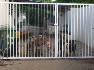 14012262_10208757278904214_471634679_n