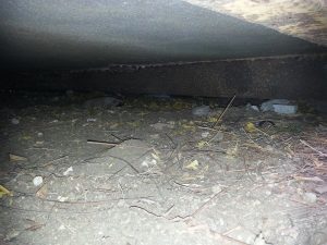 14089627_10208840616507602_1591138993_n