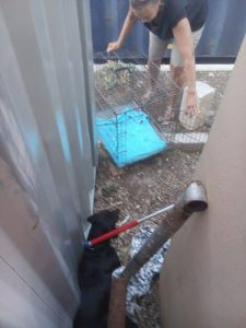 14112150_10209256529782924_620503556_n