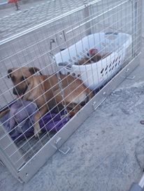 14137884_10209257034955553_1881163898_n