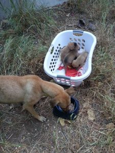 14159914_10208888687149338_226115086_n