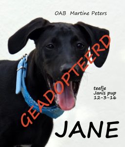 JANE geadopteerd