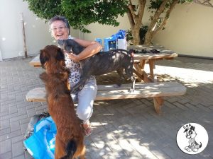 10509675_426108827581009_4602112378884527311_n