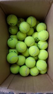 14409064_10209083132370347_1307458609_n