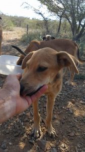 14518275_10154397526060170_1786861213_n