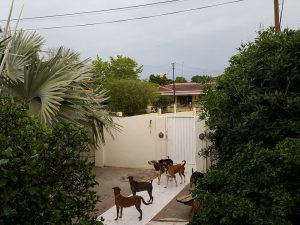 14542634_10209181429387711_1679304386_n