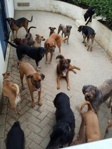 14555769_10209181428947700_1369150014_n