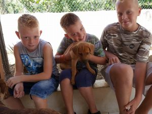 14610766_10209249636612849_1662849356_n