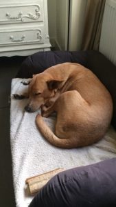 14627680_10157474897410507_681558891_n