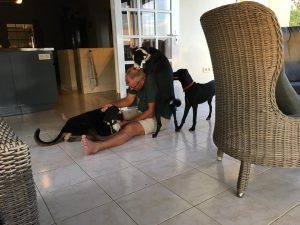 14627986_10154190860743882_312153202_n