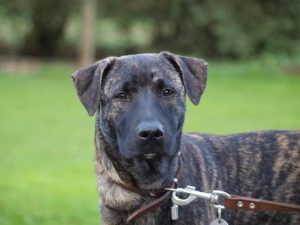 14628176_559361034255004_400798320_n