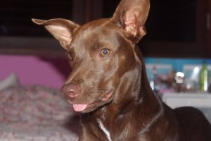 14643133_10209268890534185_1291720721_n