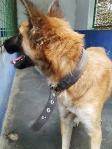 14650058_572677909590766_8334330534289793413_n