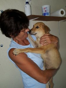 14657747_10209277653633257_1035281579_n