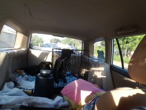 14699875_10209299020207408_1528011078_n