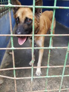 14708283_572677976257426_5170933565869195968_n