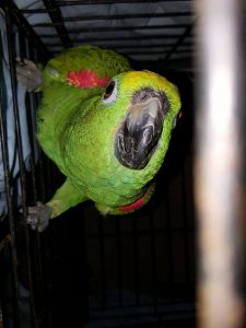 14800829_10209429833797666_1592080320_n