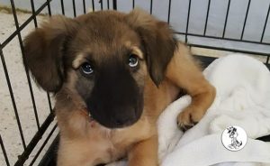 14813637_10209382843382935_328564023_n