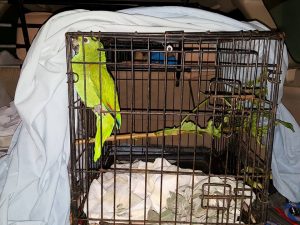 14874889_10209429833837667_1266924143_n