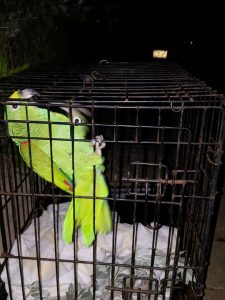 14877014_10209429833917669_1476058035_n