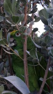 14910280_10153929821346723_379173501252091496_n