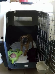 14914677_10209444955655703_1402076936_n