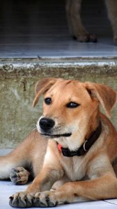 14962494_10209501760435787_559782058_n