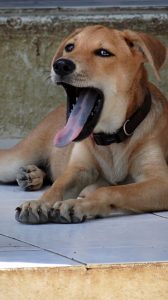 14971887_10209501760315784_11816403_n