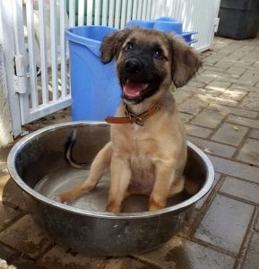 zitten in het water 3