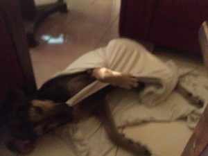 13689442_1121506424538927_1839778380_n