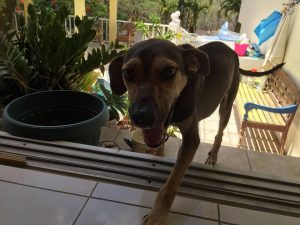 13735267_1123609460995290_1106353827_n