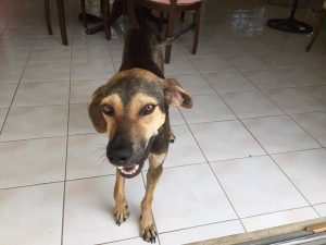 13820652_1123610217661881_1720352932_n