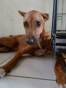 14914836_10209493609232012_1935138899_n