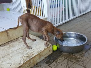 14937955_10209493610912054_1693602638_n