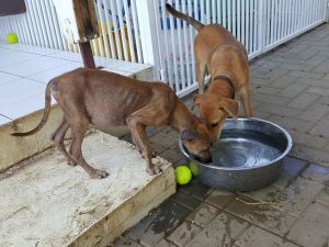 14962391_10209493611512069_1629324355_n