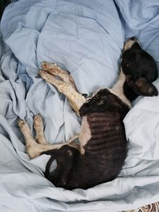 15174666_10209638624097293_1582450297_n