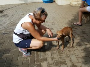 15211748_10209682004301771_1501979093_n