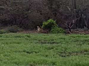 15218392_10209679422317223_1637154346_n