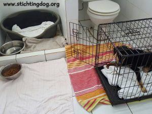 15281846_10209689323924757_1972576437_n