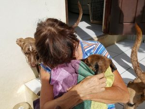 15310243_10209755952870439_924129722_n