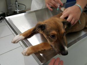 15310379_10209755969710860_326995194_n