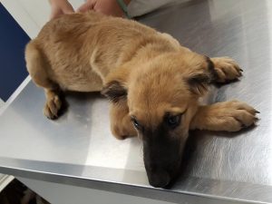 15310412_10209755969750861_1659976776_n