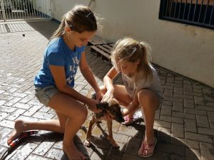 15310489_10209755949270349_240463971_n